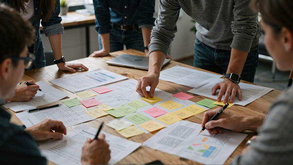 Organisation